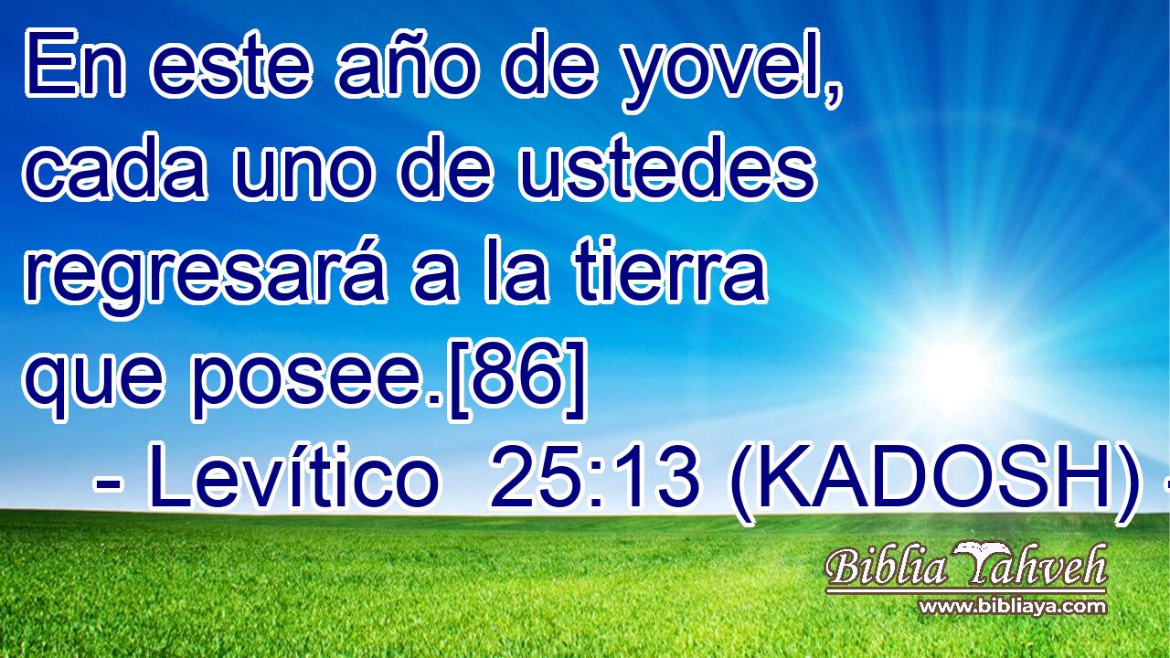  En este año de yovel, cada uno de ustedes regresará a la tierra que posee.[86] 