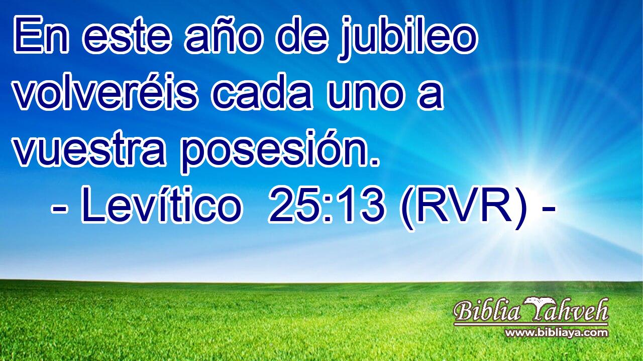 En este año de jubileo volveréis cada uno a vuestra posesión.