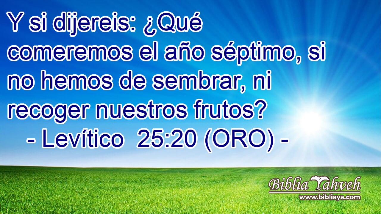  Y si dijereis: ¿Qué comeremos el año séptimo, si no hemos de sembrar, ni recoger nuestros frutos? 