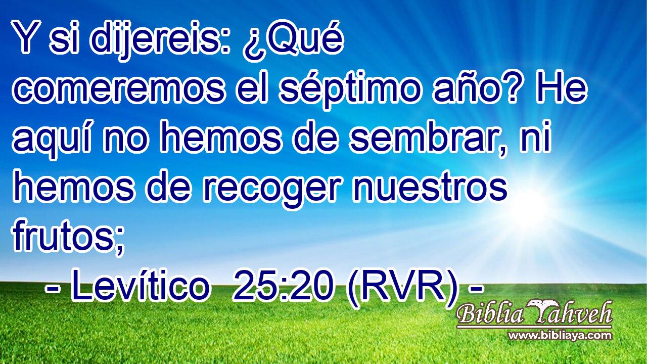 Y si dijereis: ¿Qué comeremos el séptimo año? He aquí no hemos de sembrar, ni hemos de recoger nuestros frutos;