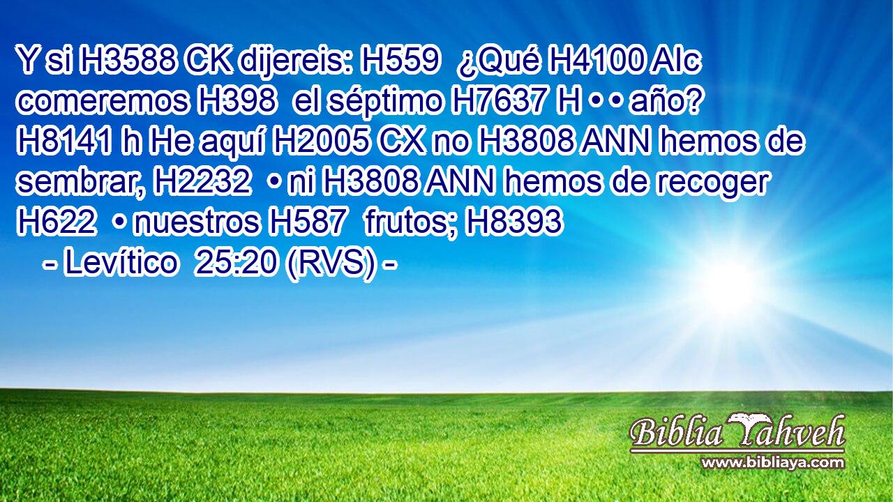 Y si H3588 CK dijereis: H559  ¿Qué H4100 AIc comeremos H398  el séptimo H7637 H • • año? H8141 h He aquí H2005 CX no H3808 ANN hemos de sembrar, H2232  • ni H3808 ANN hemos de recoger H622  • nuestros H587  frutos; H8393  