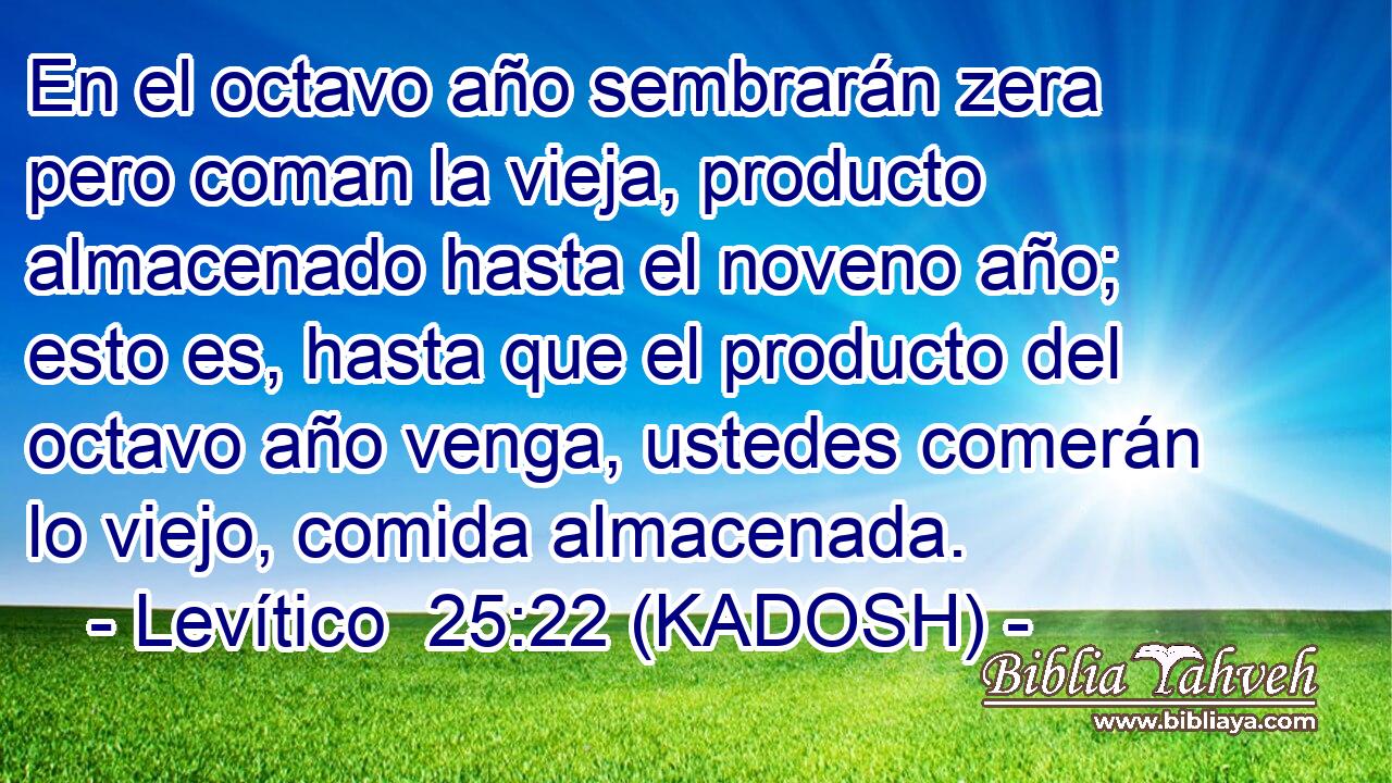  En el octavo año sembrarán zera pero coman la vieja, producto almacenado hasta el noveno año; esto es, hasta que el producto del octavo año venga, ustedes comerán lo viejo, comida almacenada. 
