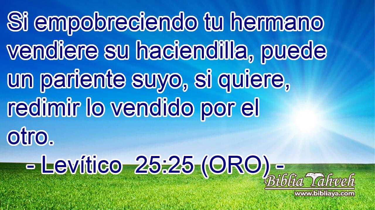  Si empobreciendo tu hermano vendiere su haciendilla, puede un pariente suyo, si quiere, redimir lo vendido por el otro. 