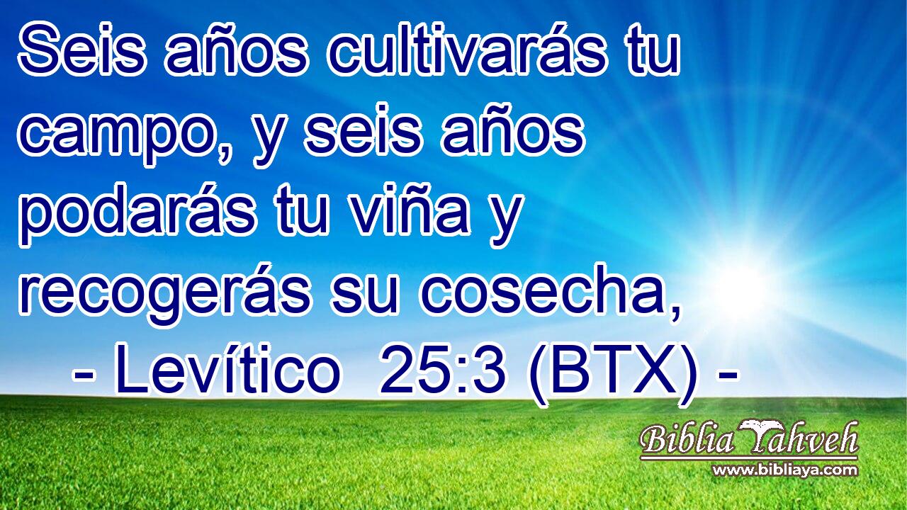 Seis años cultivarás tu campo, y seis años podarás tu viña y recogerás su cosecha,