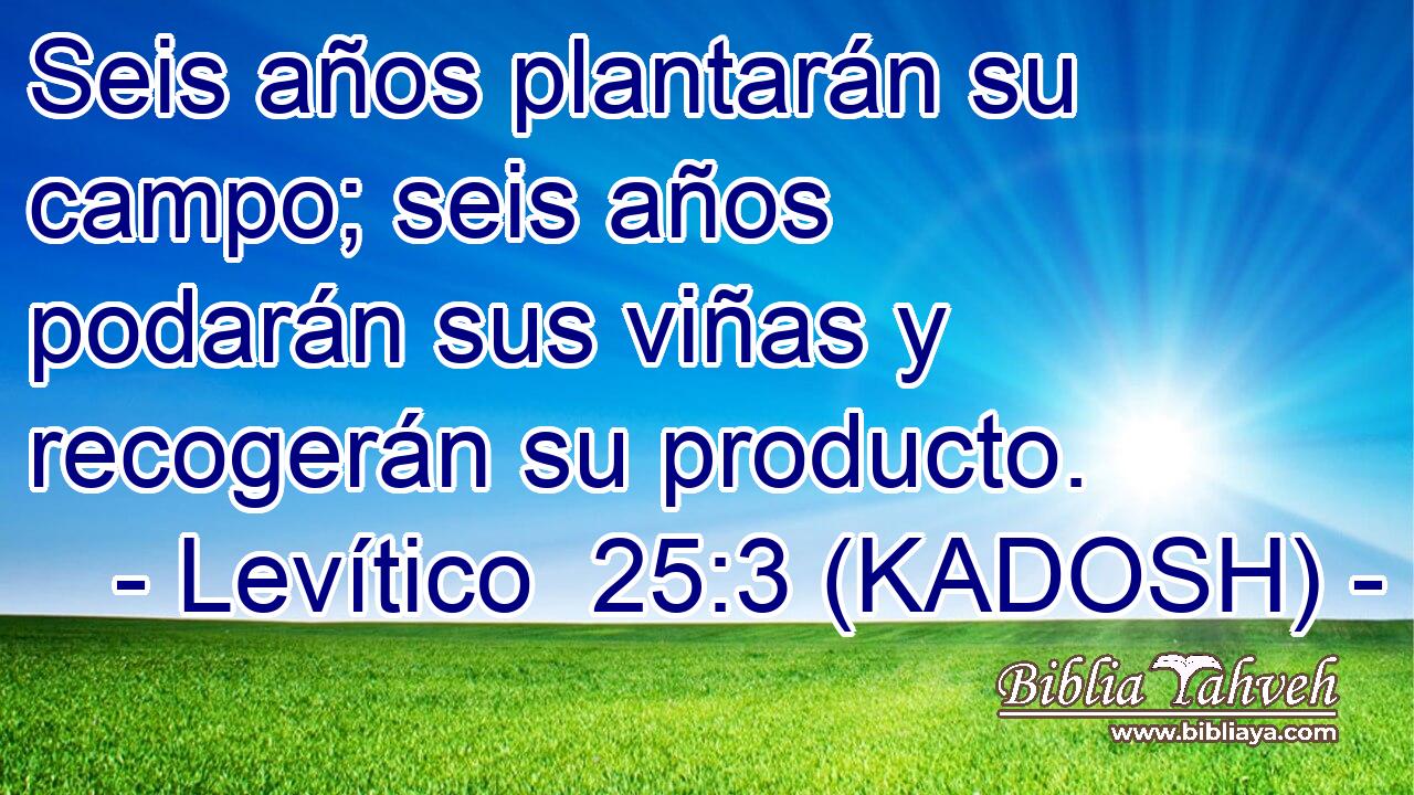  Seis años plantarán su campo; seis años podarán sus viñas y recogerán su producto. 