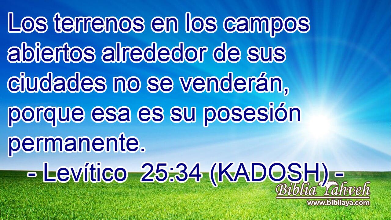  Los terrenos en los campos abiertos alrededor de sus ciudades no se venderán, porque esa es su posesión permanente. 