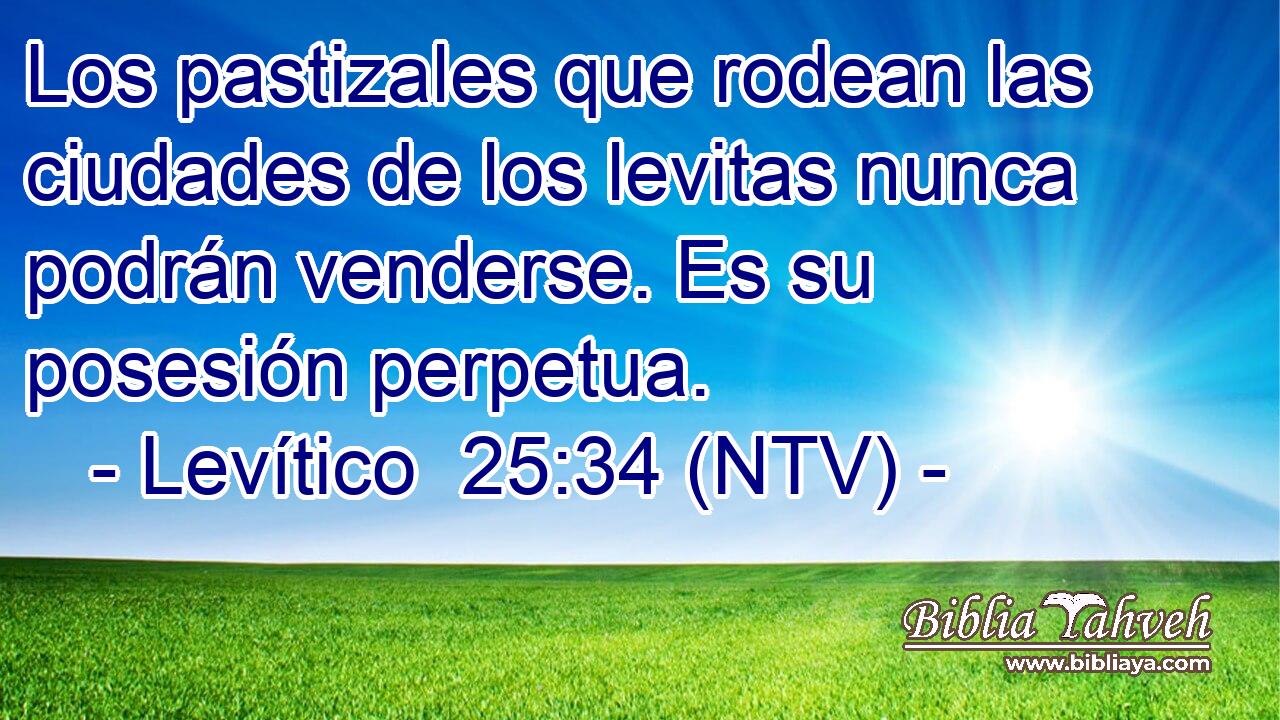 Los pastizales que rodean las ciudades de los levitas nunca podrán venderse. Es su posesión perpetua.