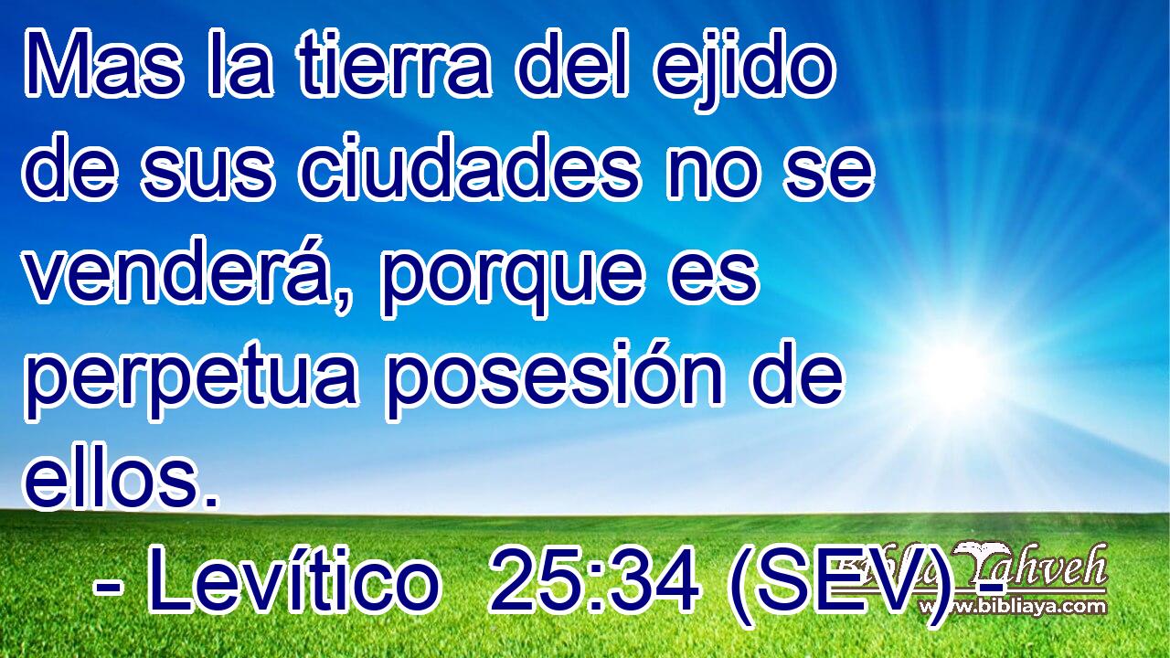 Mas la tierra del ejido de sus ciudades no se venderá, porque es perpetua posesión de ellos.