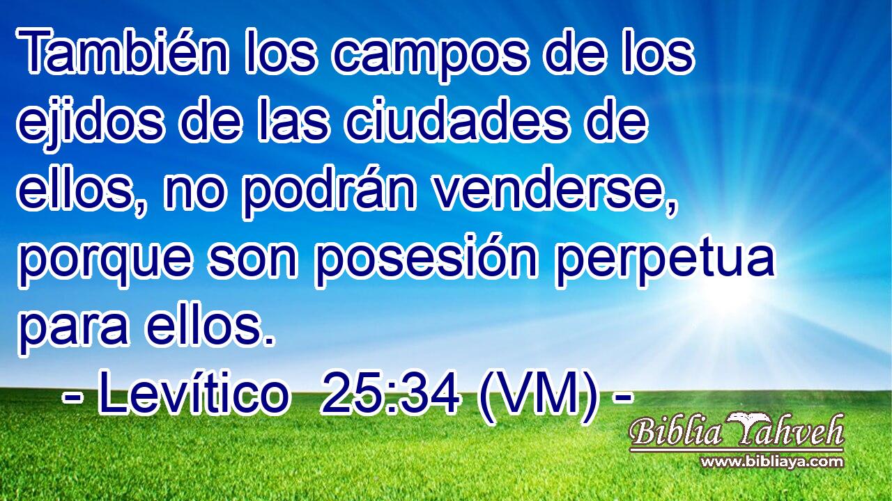  También los campos de los ejidos de las ciudades de ellos, no podrán venderse, porque son posesión perpetua para ellos. 
