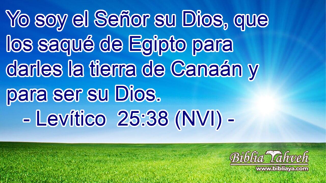  Yo soy el Señor su Dios, que los saqué de Egipto para darles la tierra de Canaán y para ser su Dios. 