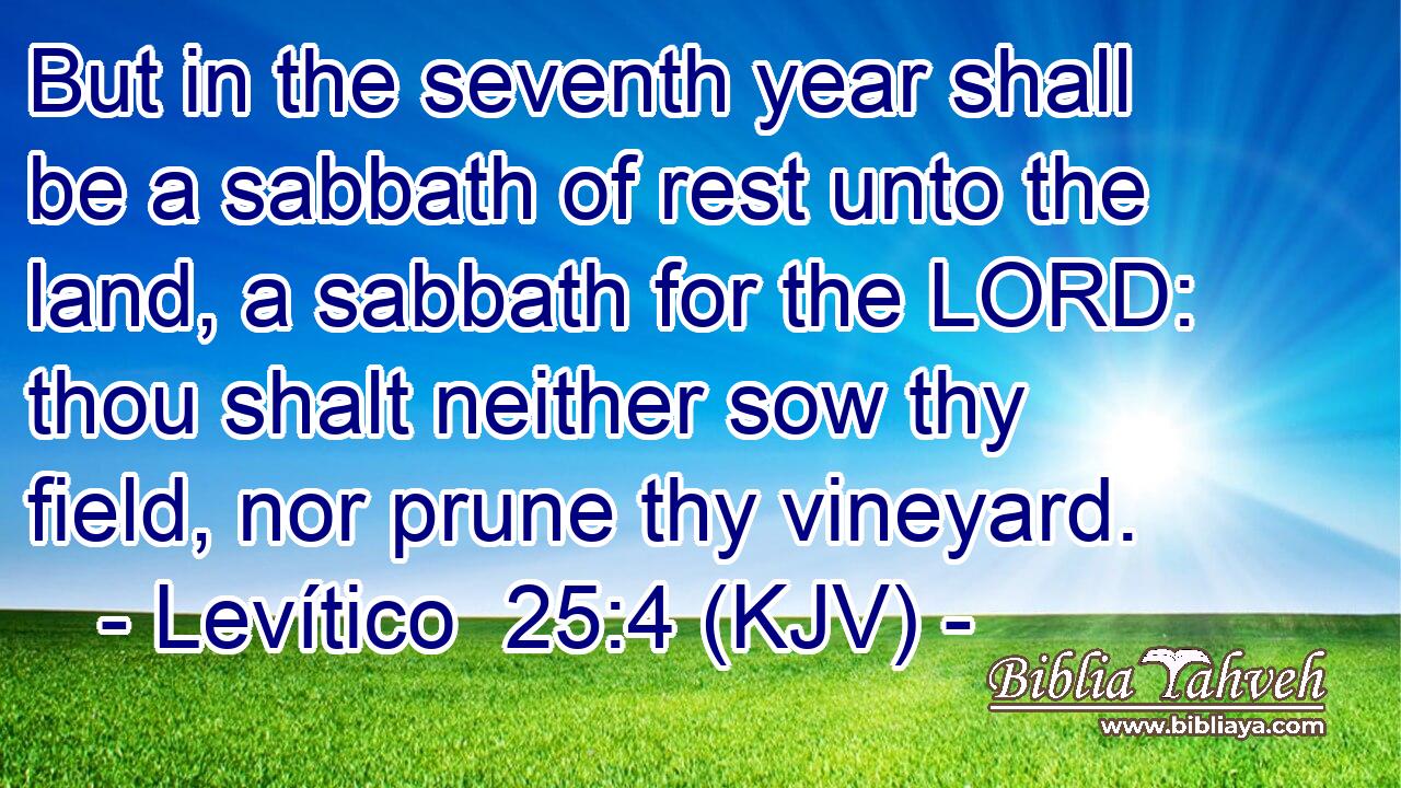 But in the seventh year shall be a sabbath of rest unto the land, a sabbath for the LORD: thou shalt neither sow thy field, nor prune thy vineyard.
