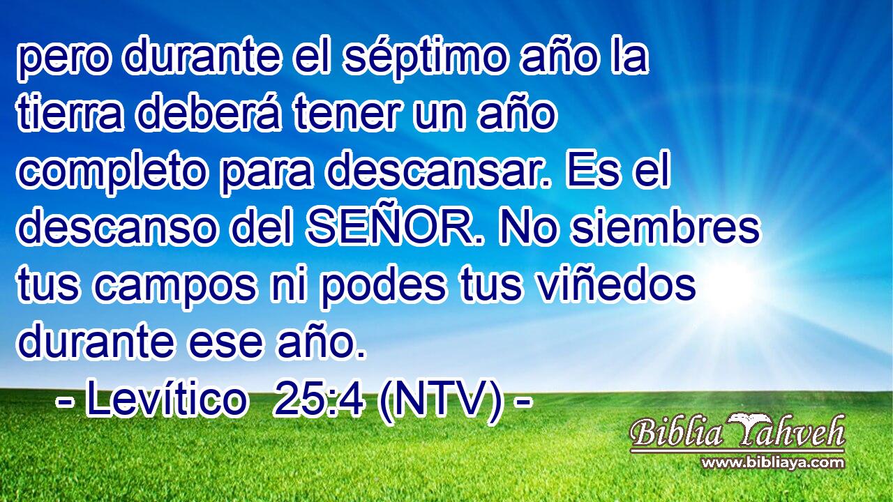 pero durante el séptimo año la tierra deberá tener un año completo para descansar. Es el descanso del SEÑOR. No siembres tus campos ni podes tus viñedos durante ese año.