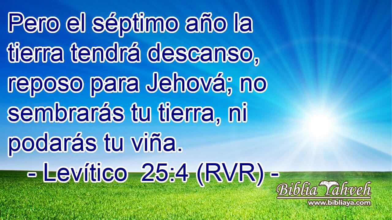 Pero el séptimo año la tierra tendrá descanso, reposo para Jehová; no sembrarás tu tierra, ni podarás tu viña.