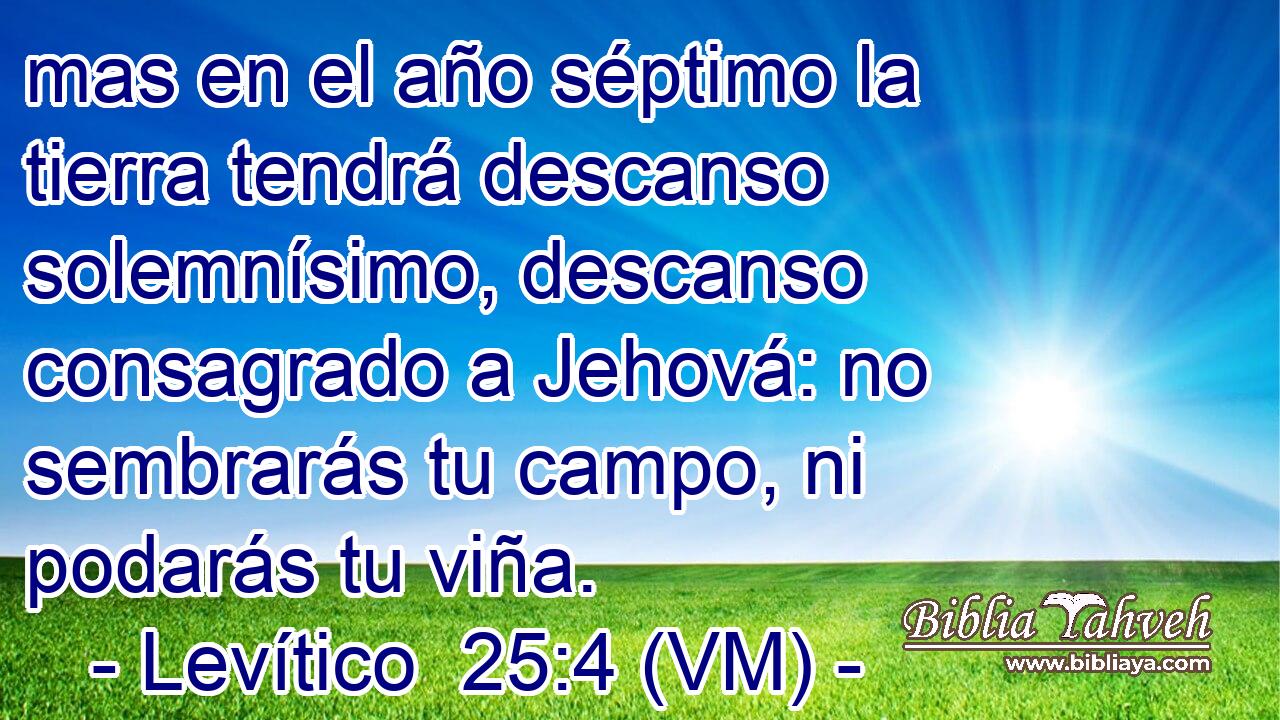  mas en el año séptimo la tierra tendrá descanso solemnísimo, descanso consagrado a Jehová: no sembrarás tu campo, ni podarás tu viña. 