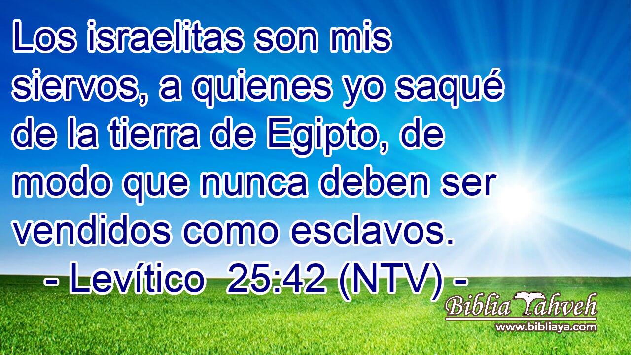 Los israelitas son mis siervos, a quienes yo saqué de la tierra de Egipto, de modo que nunca deben ser vendidos como esclavos.