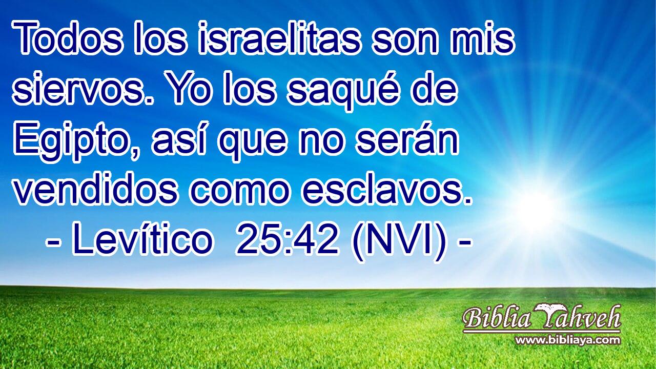  Todos los israelitas son mis siervos. Yo los saqué de Egipto, así que no serán vendidos como esclavos. 