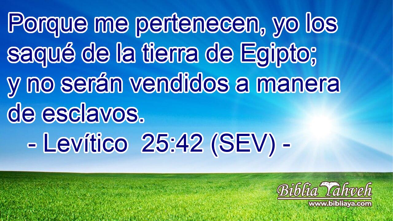 Porque me pertenecen, yo los saqué de la tierra de Egipto; y no serán vendidos a manera de esclavos.