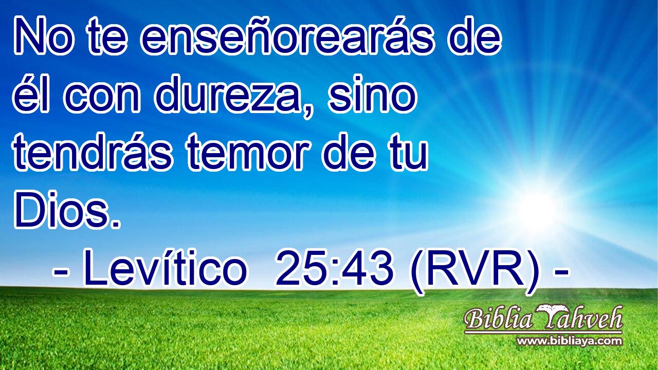 No te enseñorearás de él con dureza, sino tendrás temor de tu Dios.