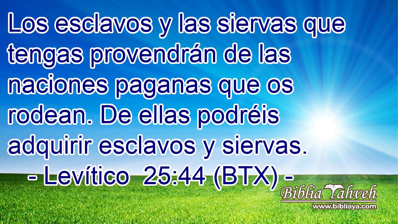 Los esclavos y las siervas que tengas provendrán de las naciones paganas que os rodean. De ellas podréis adquirir esclavos y siervas.