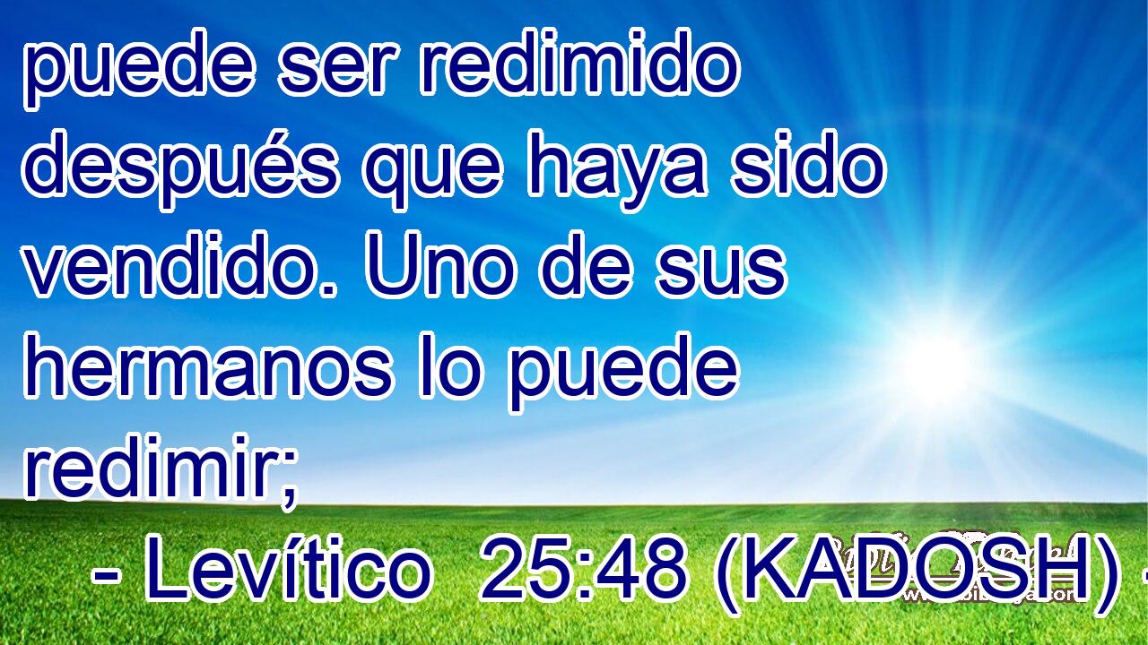  puede ser redimido después que haya sido vendido. Uno de sus hermanos lo puede redimir; 