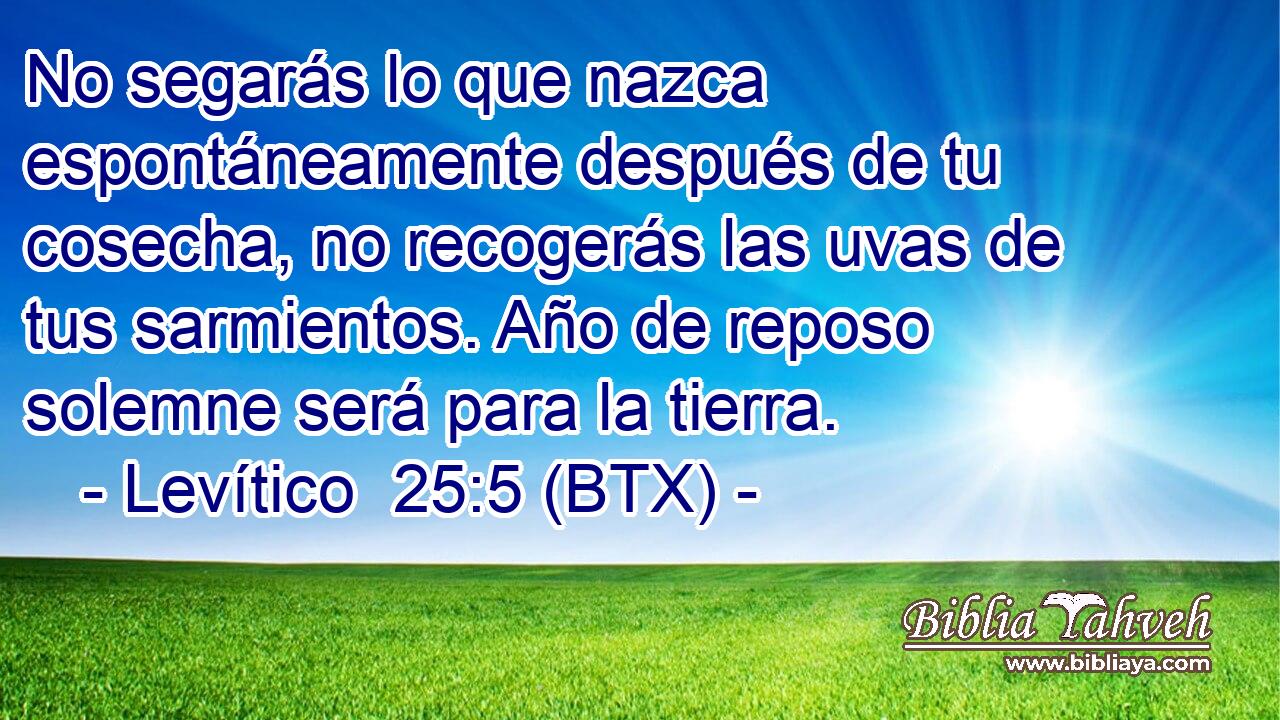 No segarás lo que nazca espontáneamente después de tu cosecha, no recogerás las uvas de tus sarmientos. Año de reposo solemne será para la tierra.