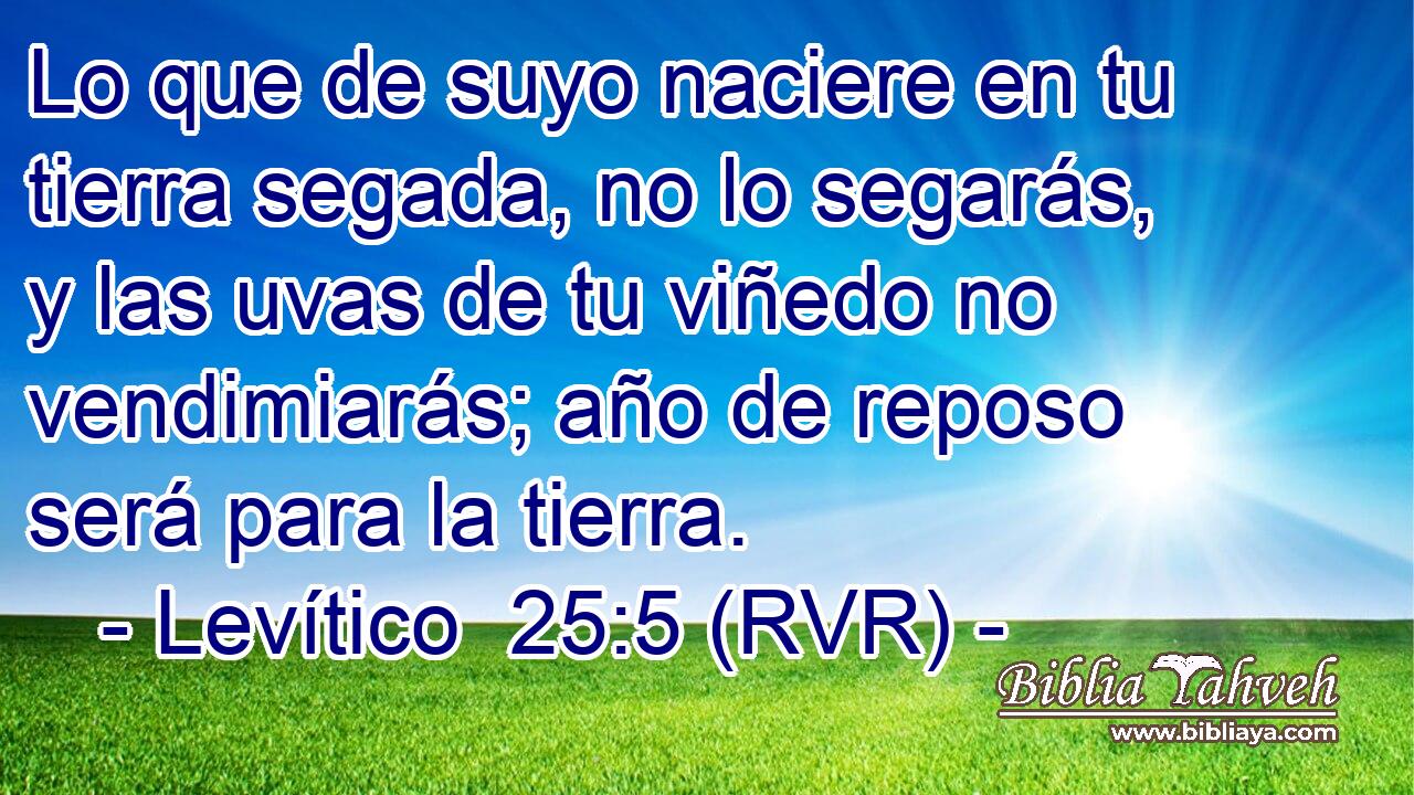 Lo que de suyo naciere en tu tierra segada, no lo segarás, y las uvas de tu viñedo no vendimiarás; año de reposo será para la tierra.