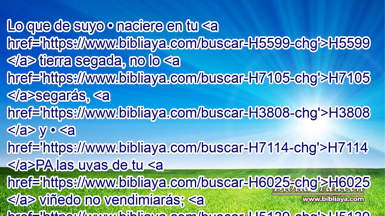 Lo que de suyo • naciere en tu H5599  tierra segada, no lo H7105 segarás, H3808  y • H7114 PA las uvas de tu H6025  viñedo no vendimiarás; H5139  año H3808  de H1219 reposo H8141  será para H7677 PL la H1961 XD H776 tierra. 