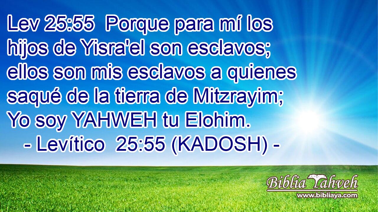  Porque para mí los hijos de Yisra'el son esclavos; ellos son mis esclavos a quienes saqué de la tierra de Mitzrayim; Yo soy YAHWEH tu Elohim. 