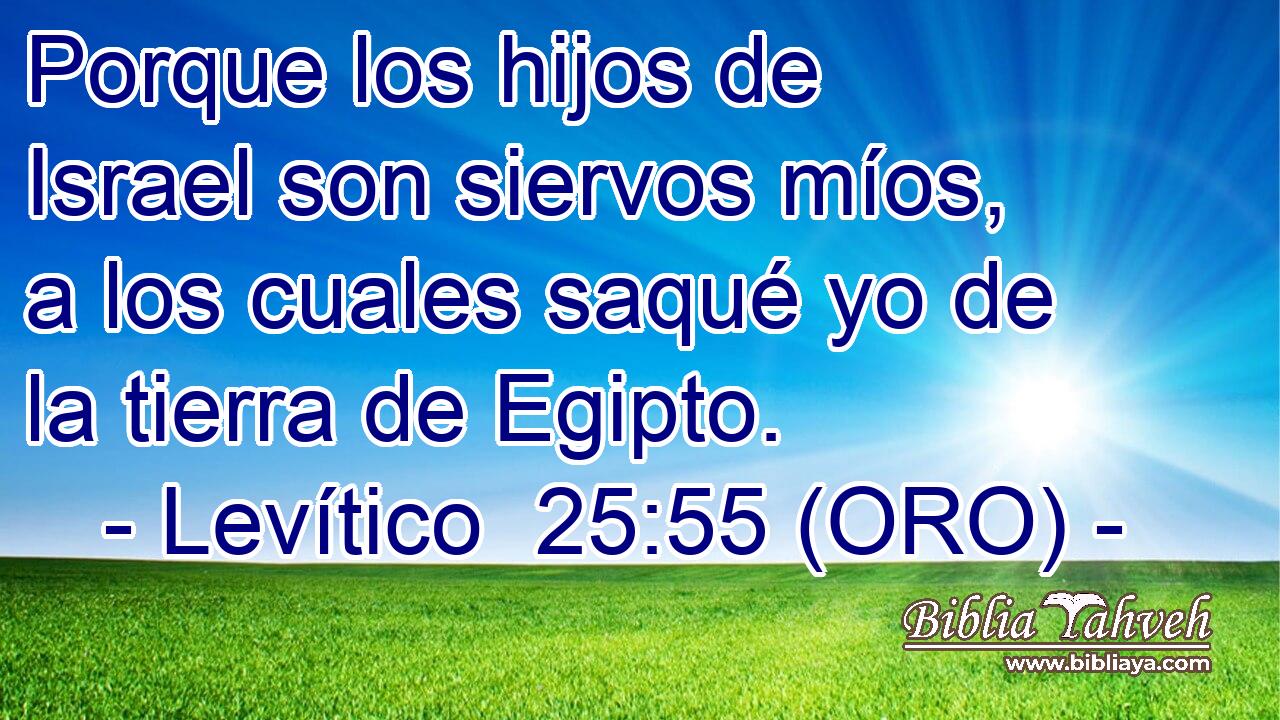  Porque los hijos de Israel son siervos míos, a los cuales saqué yo de la tierra de Egipto. 