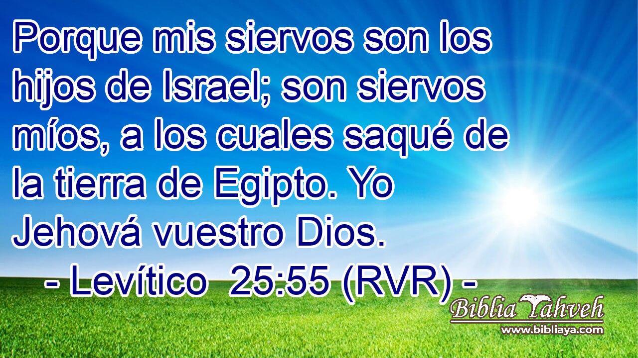 Porque mis siervos son los hijos de Israel; son siervos míos, a los cuales saqué de la tierra de Egipto. Yo Jehová vuestro Dios.