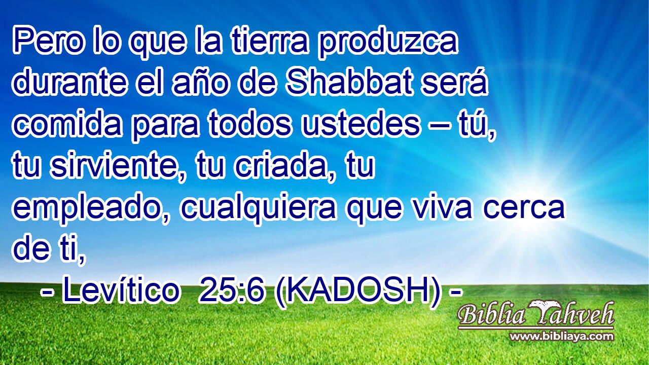  Pero lo que la tierra produzca durante el año de Shabbat será comida para todos ustedes – tú, tu sirviente, tu criada, tu empleado, cualquiera que viva cerca de ti, 