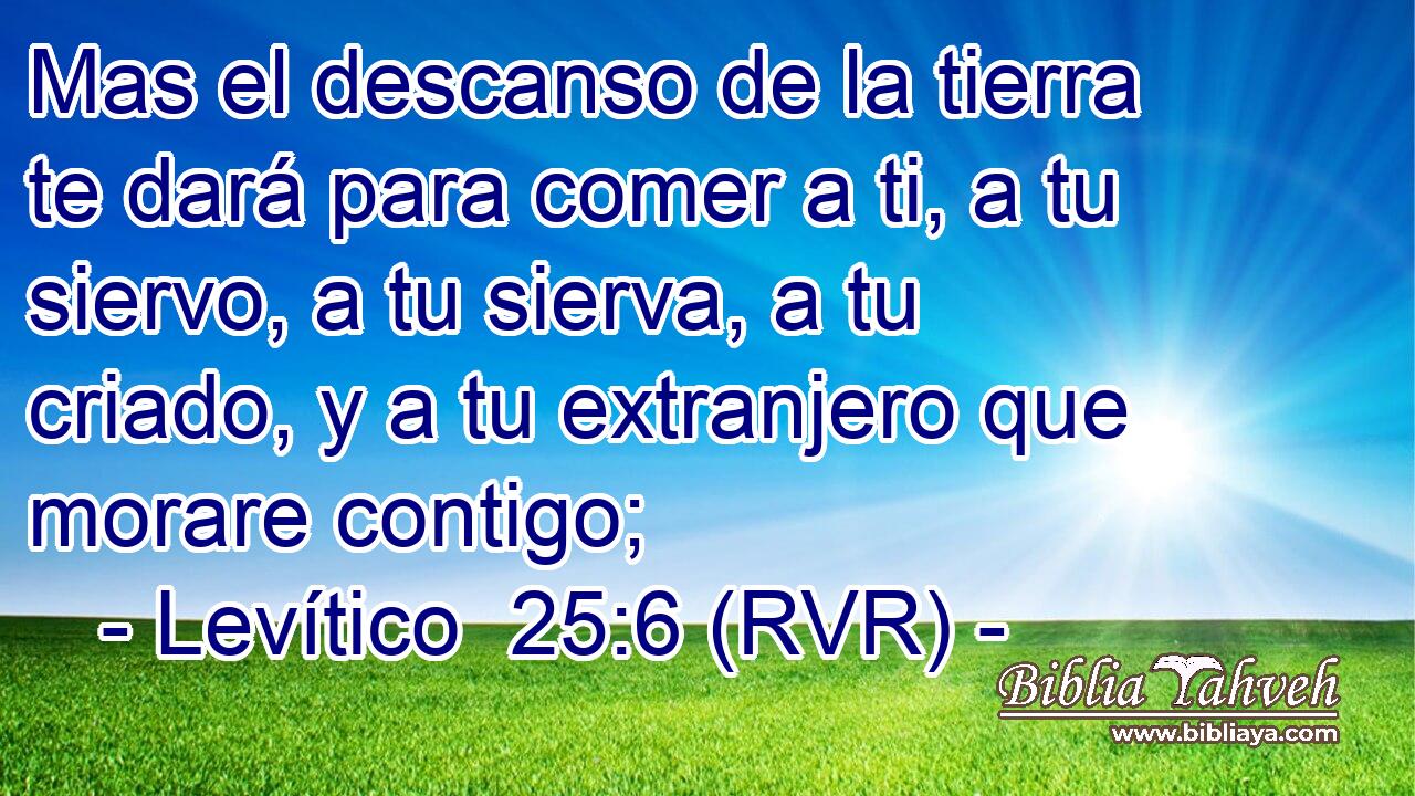 Mas el descanso de la tierra te dará para comer a ti, a tu siervo, a tu sierva, a tu criado, y a tu extranjero que morare contigo;