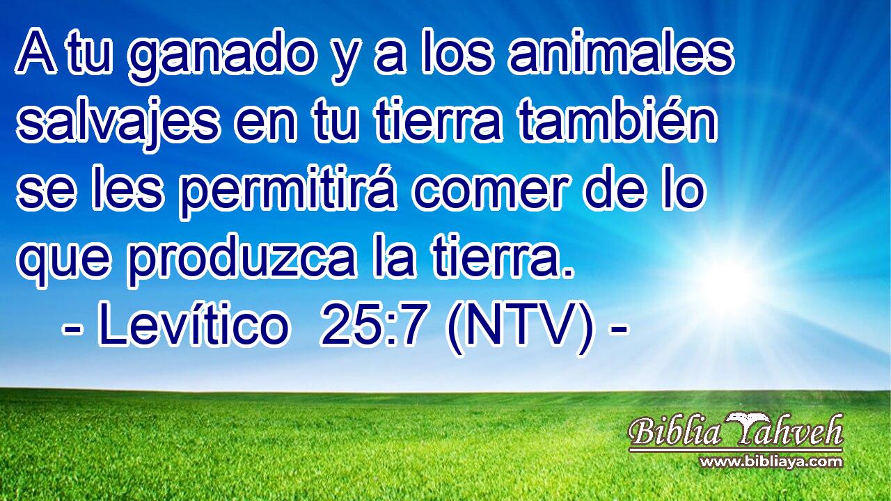 A tu ganado y a los animales salvajes en tu tierra también se les permitirá comer de lo que produzca la tierra.