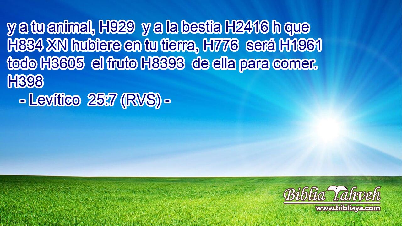 y a tu animal, H929  y a la bestia H2416 h que H834 XN hubiere en tu tierra, H776  será H1961  todo H3605  el fruto H8393  de ella para comer. H398  