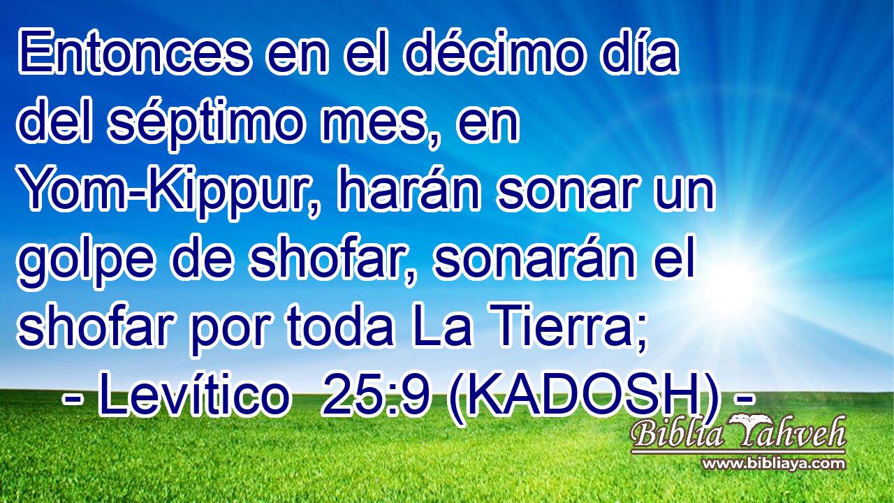  Entonces en el décimo día del séptimo mes, en Yom-Kippur, harán sonar un golpe de shofar, sonarán el shofar por toda La Tierra; 