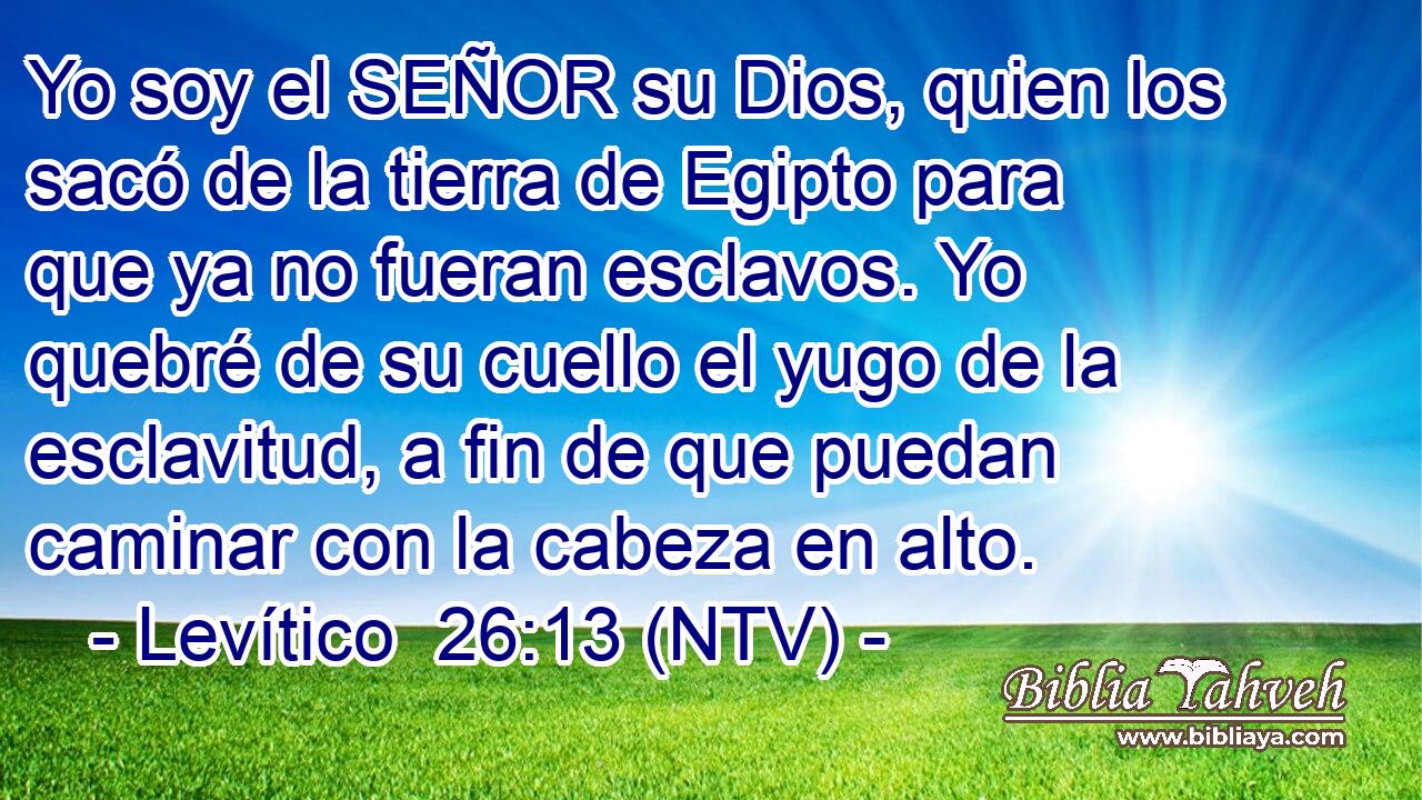 Yo soy el SEÑOR su Dios, quien los sacó de la tierra de Egipto para que ya no fueran esclavos. Yo quebré de su cuello el yugo de la esclavitud, a fin de que puedan caminar con la cabeza en alto.