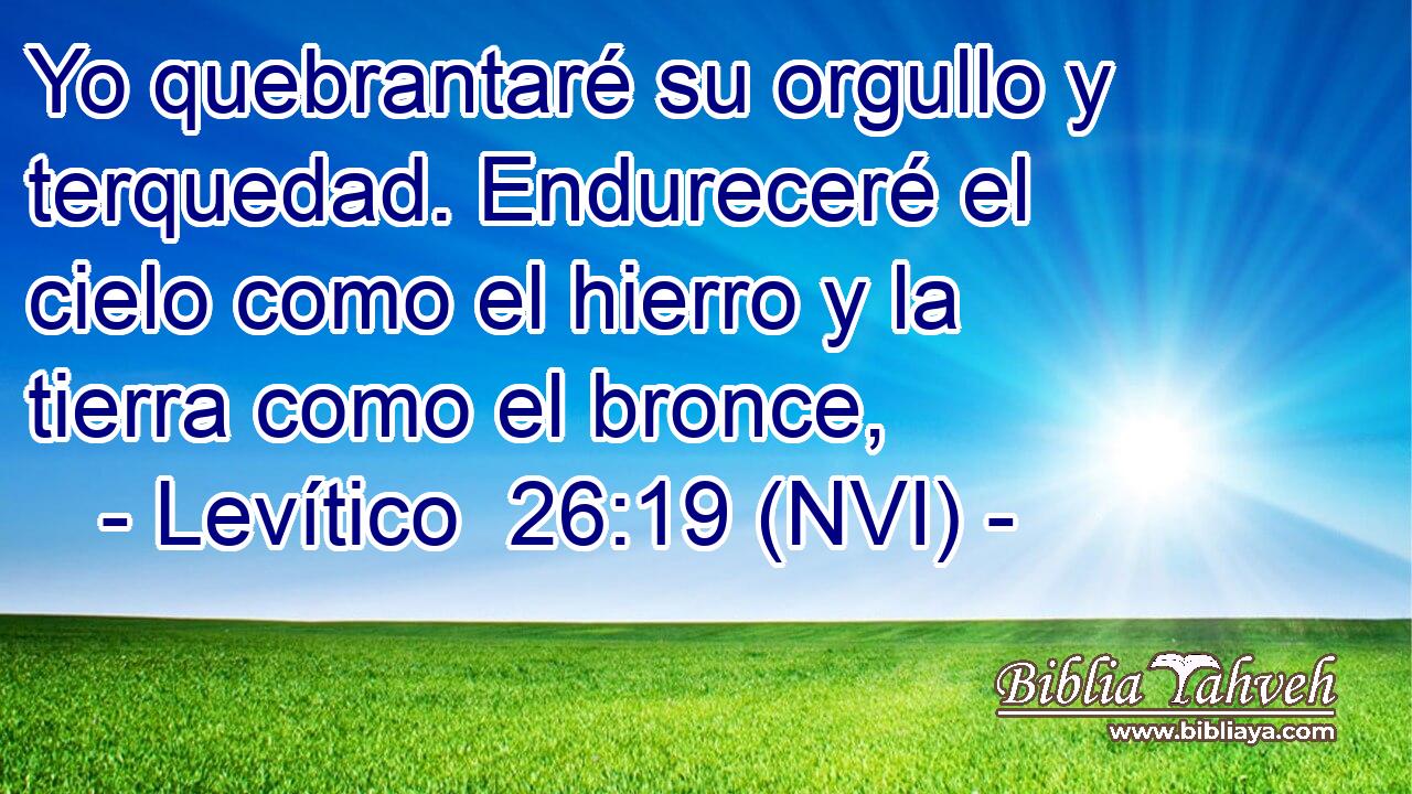  Yo quebrantaré su orgullo y terquedad. Endureceré el cielo como el hierro y la tierra como el bronce, 