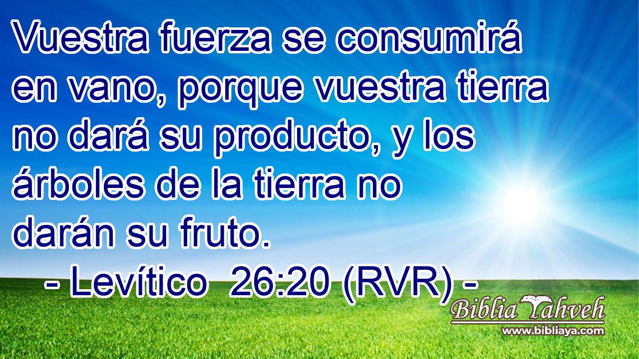 Vuestra fuerza se consumirá en vano, porque vuestra tierra no dará su producto, y los árboles de la tierra no darán su fruto.