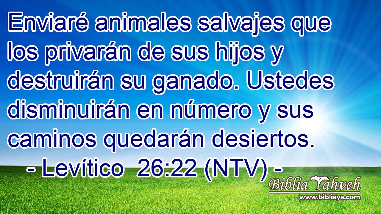 Enviaré animales salvajes que los privarán de sus hijos y destruirán su ganado. Ustedes disminuirán en número y sus caminos quedarán desiertos.