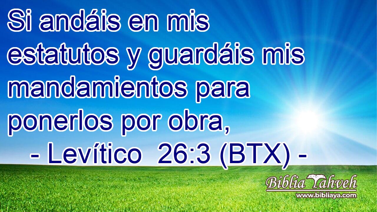 Si andáis en mis estatutos y guardáis mis mandamientos para ponerlos por obra,