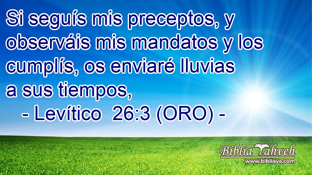  Si seguís mis preceptos, y observáis mis mandatos y los cumplís, os enviaré lluvias a sus tiempos, 
