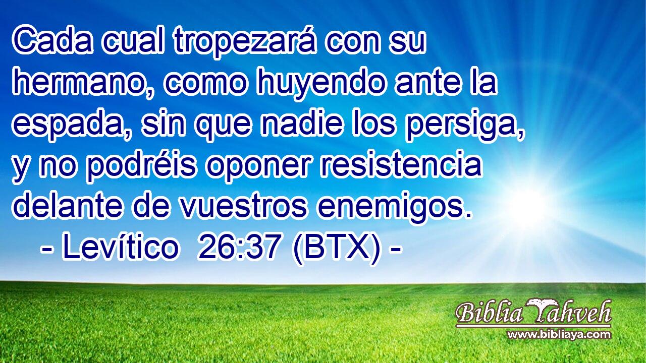 Cada cual tropezará con su hermano, como huyendo ante la espada, sin que nadie los persiga, y no podréis oponer resistencia delante de vuestros enemigos.