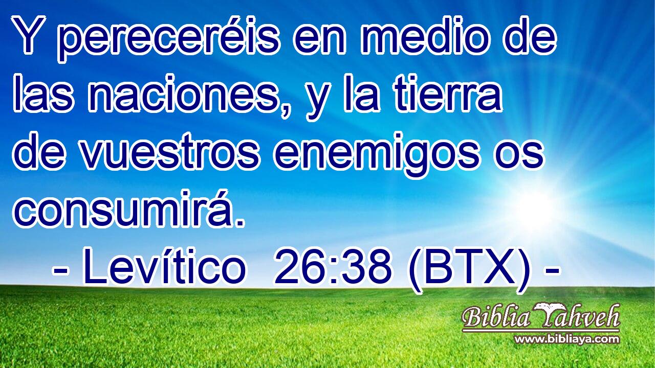 Y pereceréis en medio de las naciones, y la tierra de vuestros enemigos os consumirá.