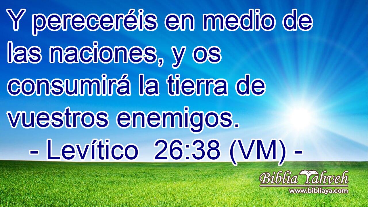  Y pereceréis en medio de las naciones, y os consumirá la tierra de vuestros enemigos. 