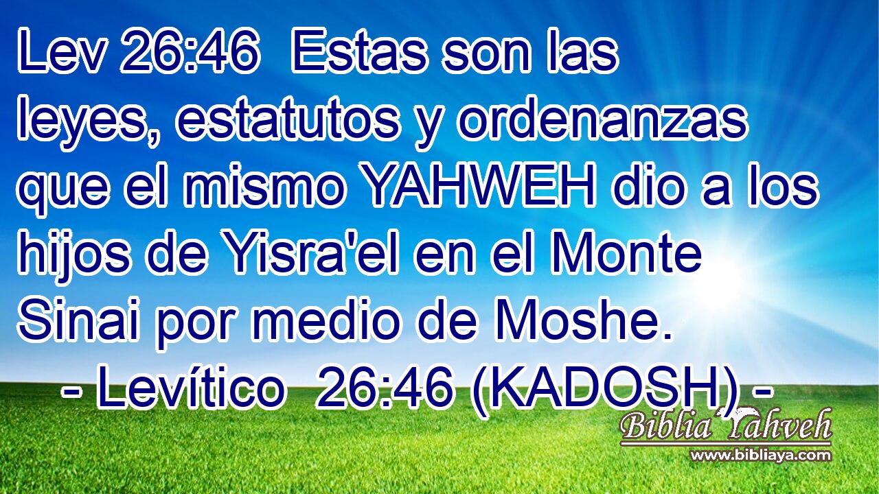  Estas son las leyes, estatutos y ordenanzas que el mismo YAHWEH dio a los hijos de Yisra'el en el Monte Sinai por medio de Moshe. 