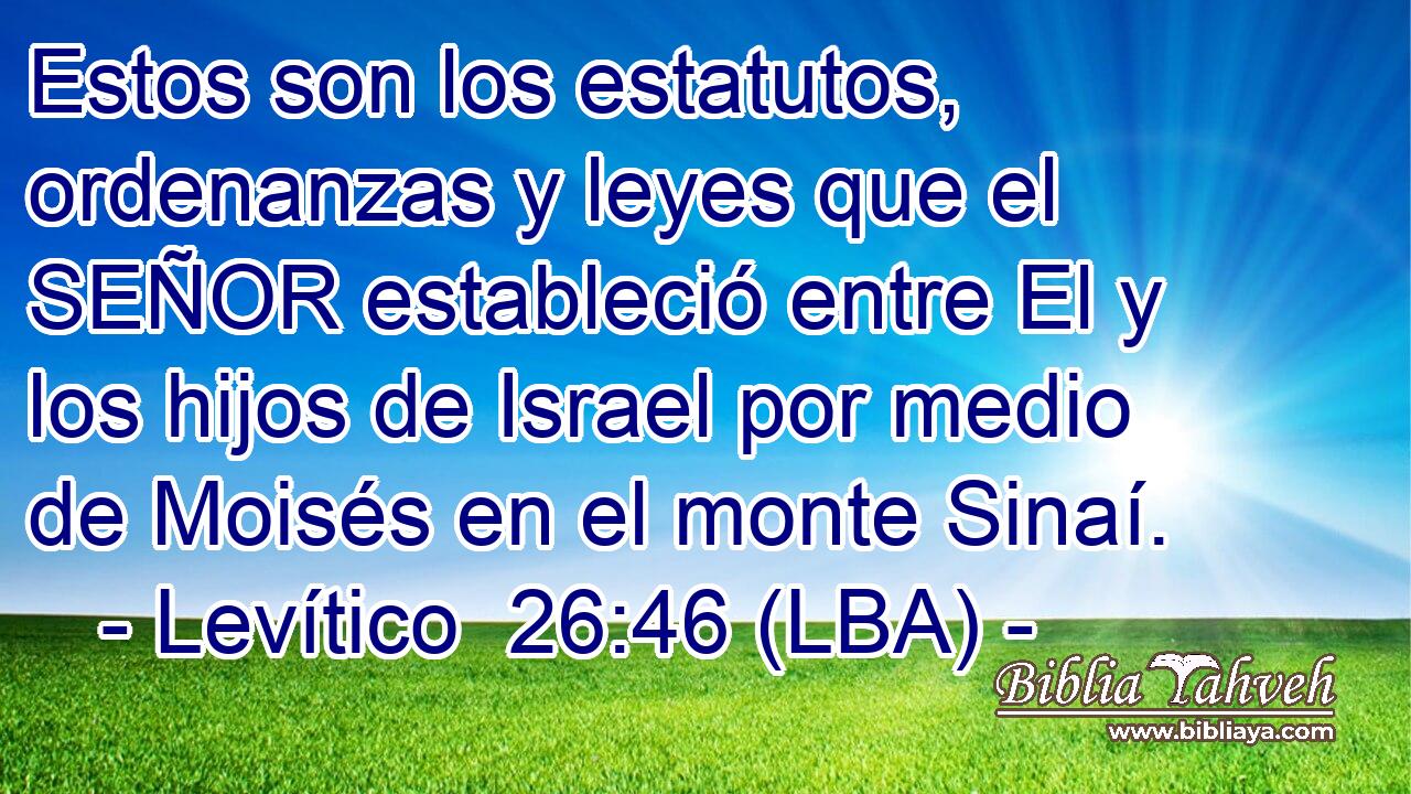 Estos son los estatutos, ordenanzas y leyes que el SEÑOR estableció entre El y los hijos de Israel por medio de Moisés en el monte Sinaí.