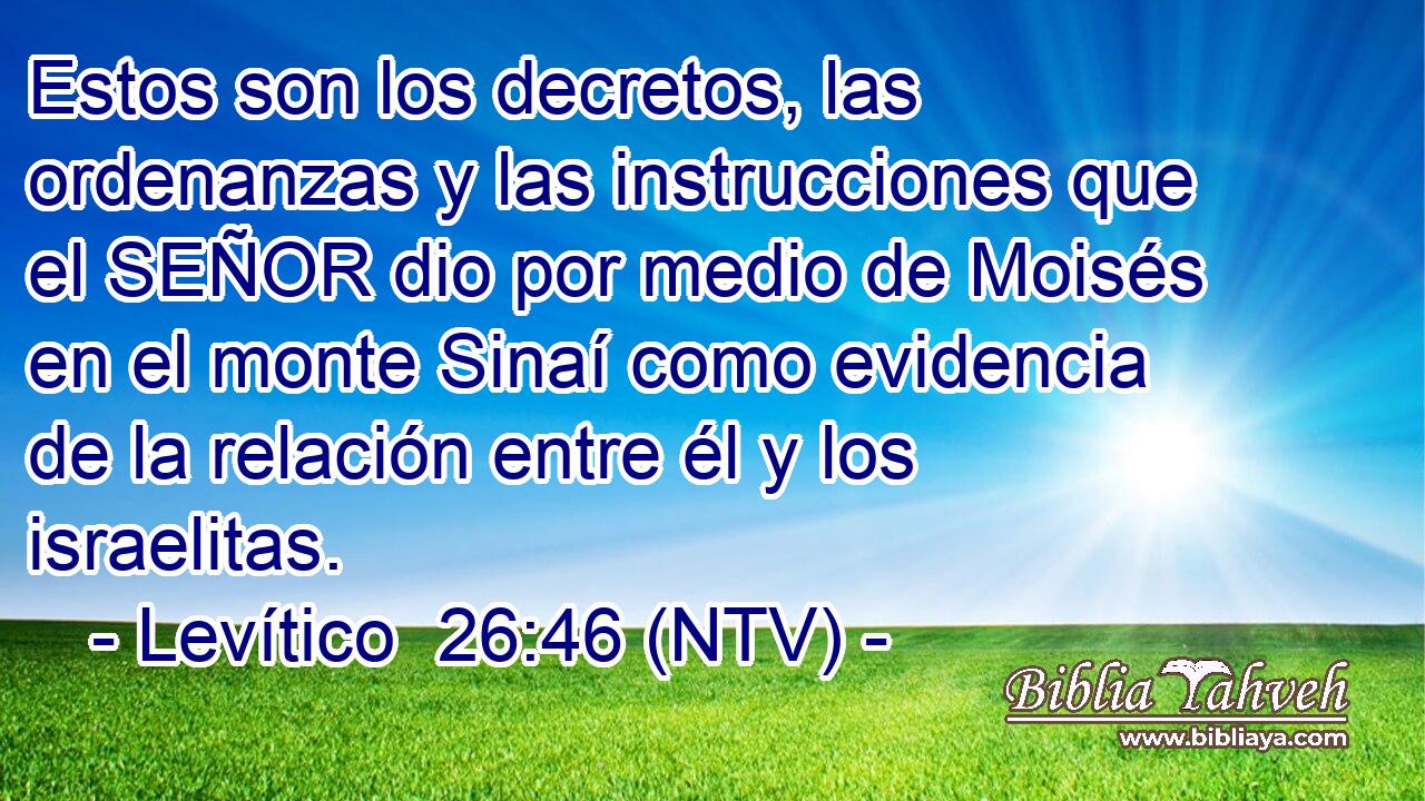 Estos son los decretos, las ordenanzas y las instrucciones que el SEÑOR dio por medio de Moisés en el monte Sinaí como evidencia de la relación entre él y los israelitas.