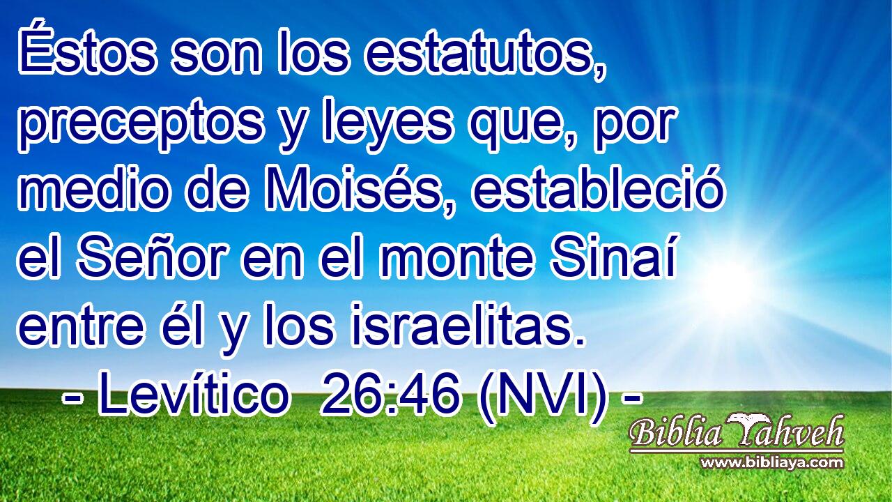  Éstos son los estatutos, preceptos y leyes que, por medio de Moisés, estableció el Señor en el monte Sinaí entre él y los israelitas. 