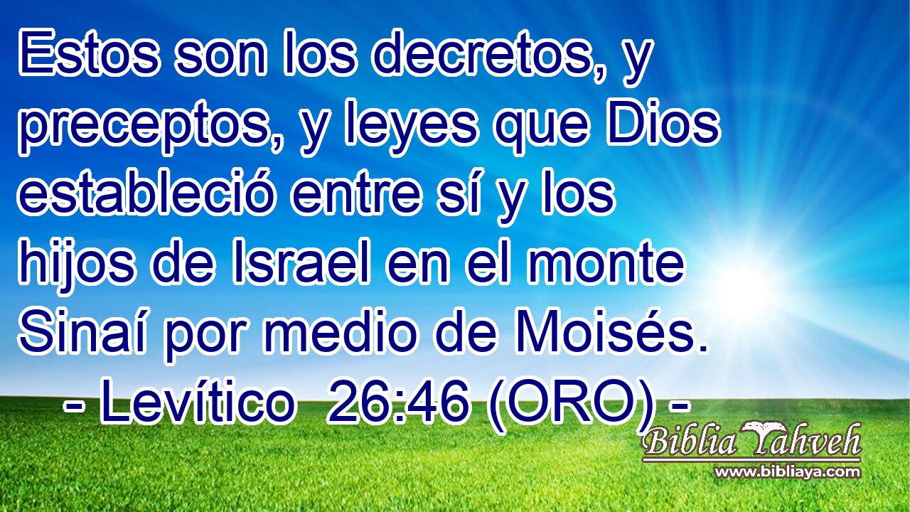  Estos son los decretos, y preceptos, y leyes que Dios estableció entre sí y los hijos de Israel en el monte Sinaí por medio de Moisés. 