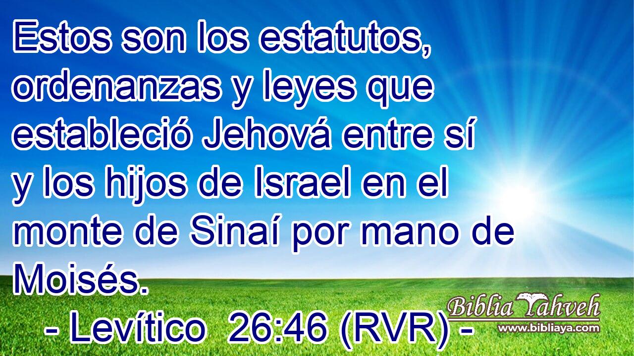 Estos son los estatutos, ordenanzas y leyes que estableció Jehová entre sí y los hijos de Israel en el monte de Sinaí por mano de Moisés.